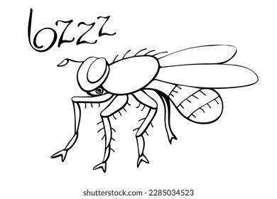 Vector black outline fly in doodle sketch style. Side view. Black and white drawing insect. Clipart, design element on theme of nature, spring, summer, isolated