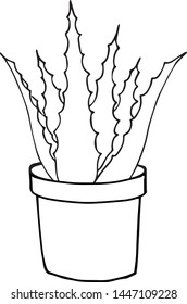 Vector black outline hand drawn sketch doodle aloe vera in flower pot isolated on white background 