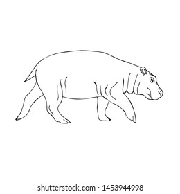 Vector black outline hand drawn sketch doodle hippopotamus isolated on white background 