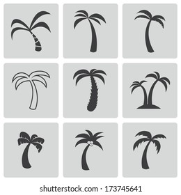 Vector black palm icons set on white background