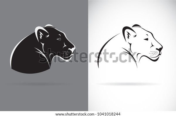 Vector Black Panther On White Background Stock Vector Royalty