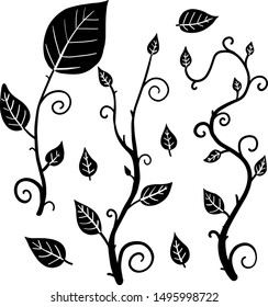 vector black plants set on white background