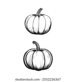 vector of black pumpkin silhouette