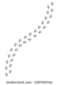 Vector black rat mouse foot print path isolated on white background