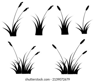 vector black reeds silhouette in group