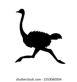 Vector black running ostrich silhouette isolated on white background
