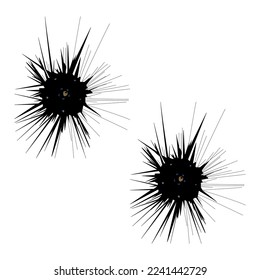 Vector black sea urchin with long spines isolated on white background