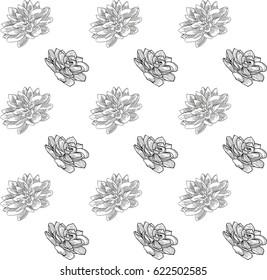 Vector Black Seamless Background Pattern with Drawn Flowers, Lotus, Succulent. Doodle Style Greenery, Lush Foliage, Foliate. Vector Illustration. Pattern Swatch