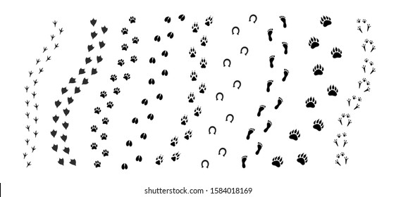 Vector black set bundle of different animals foot print path tracks isolated on white background