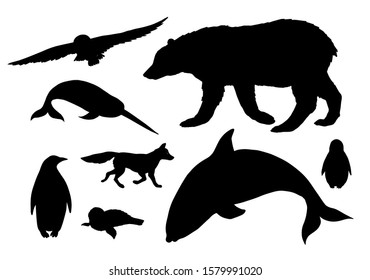 Vector black set bundle of polar north animals silhouette isolated on white background