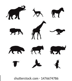 Vector black set collection of African animals silhouette isolated on white background