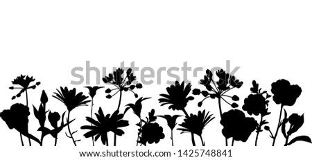 vector black silhoueete of flowers and plants, floral composition, hand drawn illustration