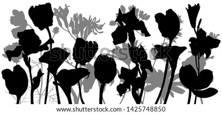 vector black silhoueete of flowers and plants, floral composition, hand drawn illustration