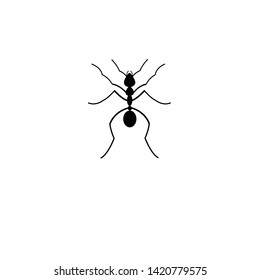 Vector black silhouette ant icon on white background