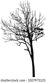vector black silhouette of a bare tree