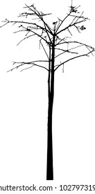vector black silhouette of a bare tree
