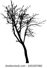 vector black silhouette of a bare tree