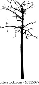vector black silhouette of a bare tree