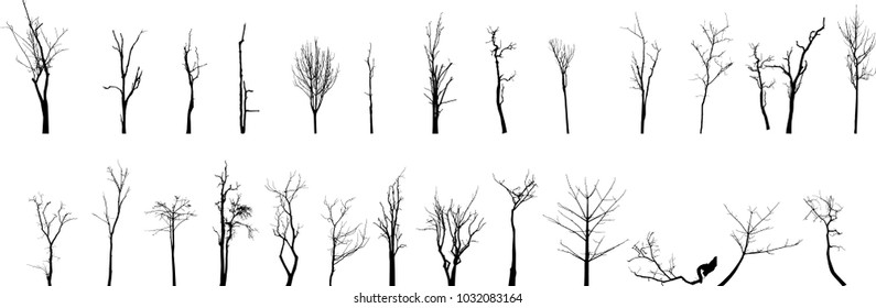 vector black silhouette of a bare tree