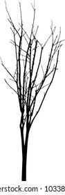 vector black silhouette of a bare tree