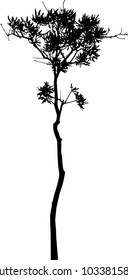 vector black silhouette of a bare tree