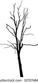 vector black silhouette of a bare tree