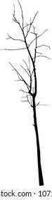 vector black silhouette of a bare tree