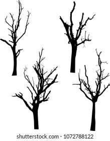 vector black silhouette of a bare tree