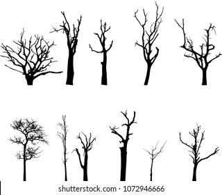 vector black silhouette of a bare tree