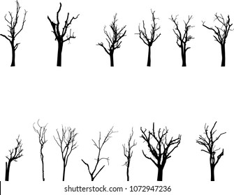 Hand Drawn Twigs Buds Growing Leaves Stock Vector (Royalty Free) 368262125