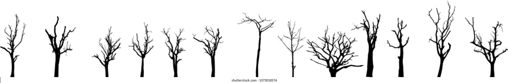 vector black silhouette of a bare tree