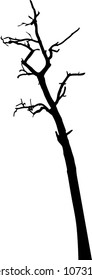 vector black silhouette of a bare tree