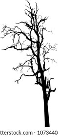 vector black silhouette of a bare tree