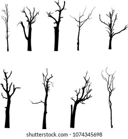 vector black silhouette of a bare tree