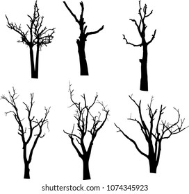 vector black silhouette of a bare tree