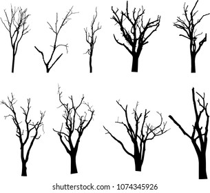 vector black silhouette of a bare tree