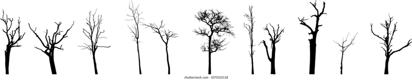 vector black silhouette of a bare tree