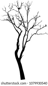 vector black silhouette of a bare tree