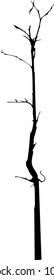vector black silhouette of a bare tree
