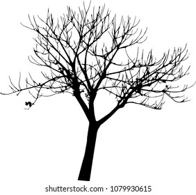 vector black silhouette of a bare tree