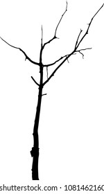 vector black silhouette of a bare tree