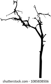 vector black silhouette of a bare tree