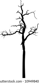 vector black silhouette of a bare tree