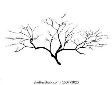 Tree Limb Images, Stock Photos & Vectors | Shutterstock