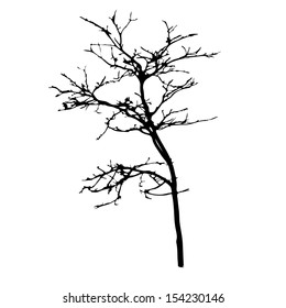 vector black silhouette of a bare tree