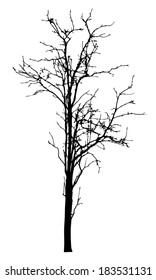 vector black silhouette of a bare tree