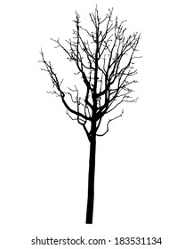 Vector Black Silhouette Bare Tree Stock Vector (royalty Free) 215459476 