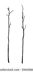 vector black silhouette of a bare tree