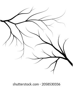 vector black silhouette of a bare tree
