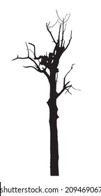 vector black silhouette of a bare tree